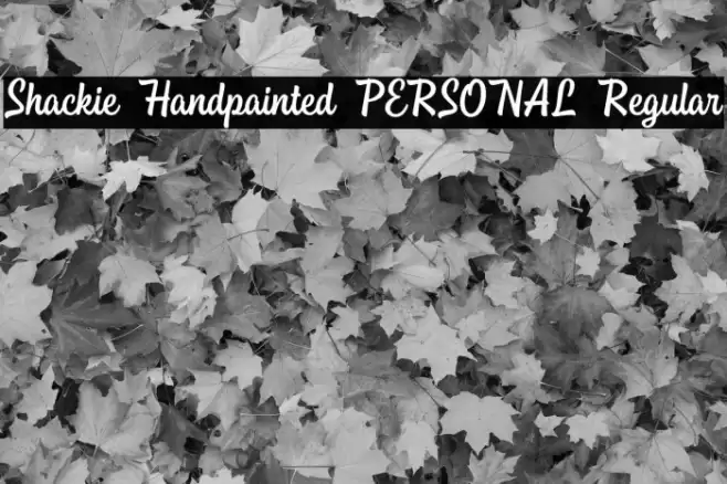 Shackie Handpainted PERSONAL Regular Font examples