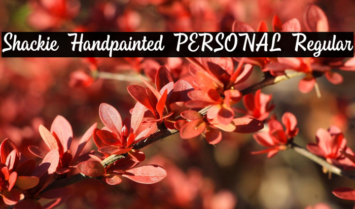 Shackie Handpainted PERSONAL Regular Example 2