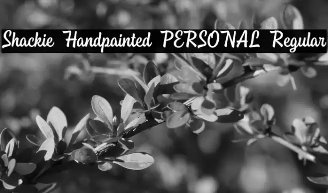 Shackie Handpainted PERSONAL Regular Font examples