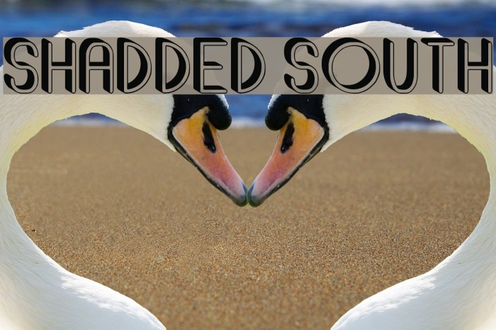 Shadded South Font examples