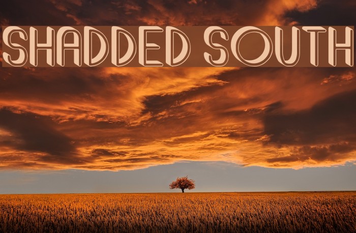 Shadded South Font examples