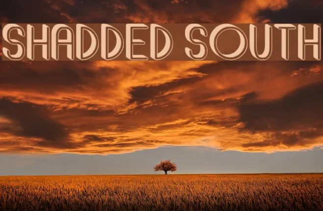 Shadded South Example 2