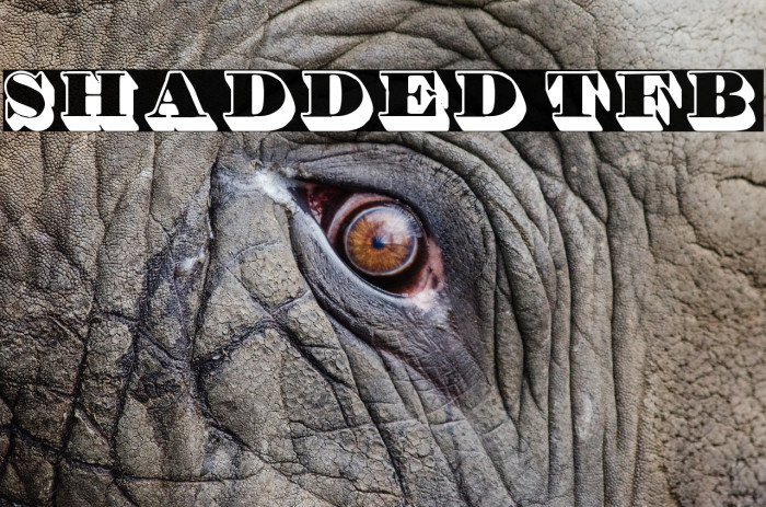 Shadded tfb Example 1