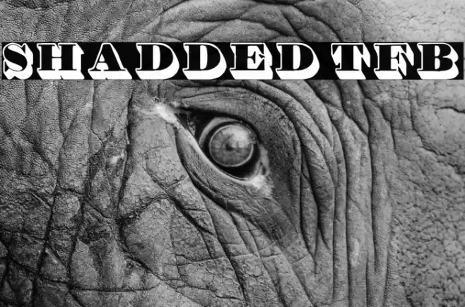 Shadded tfb Font examples