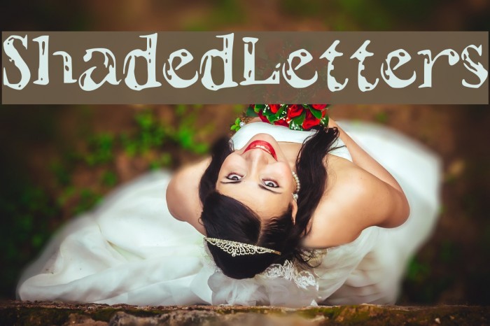 ShadedLetters Example 2