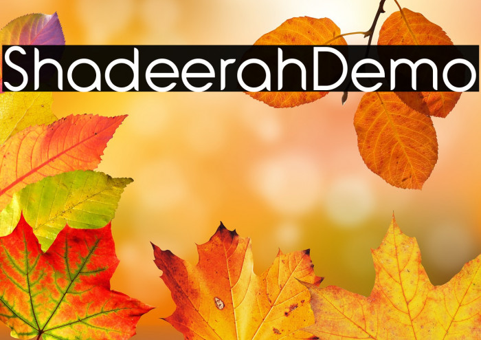 Shadeerah Demo Example 1