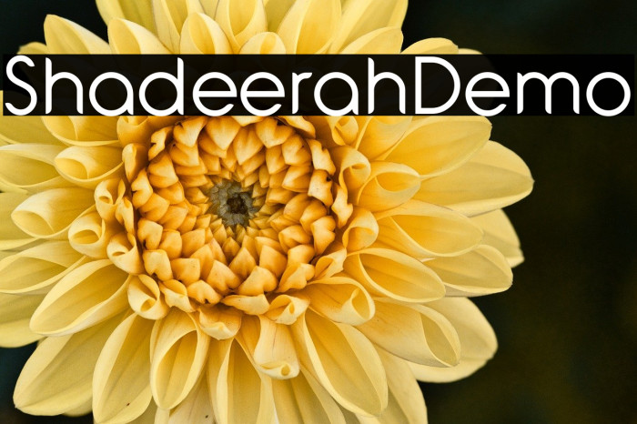 Shadeerah Demo Example 2