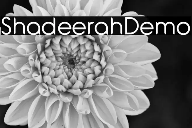 Shadeerah Demo Font examples