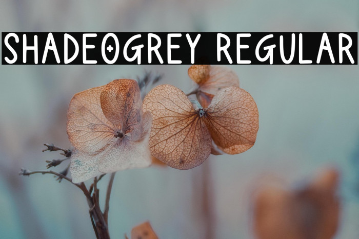 Shadeogrey Regular Example 3