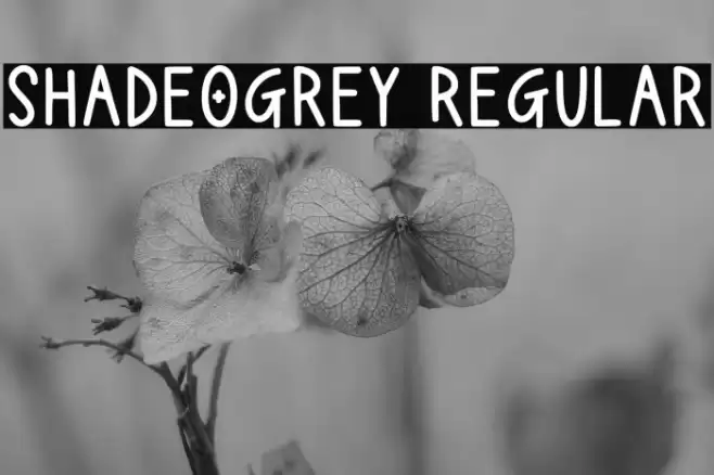 Shadeogrey Regular Font examples