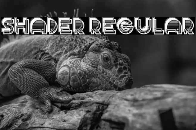 Shader Regular Font examples