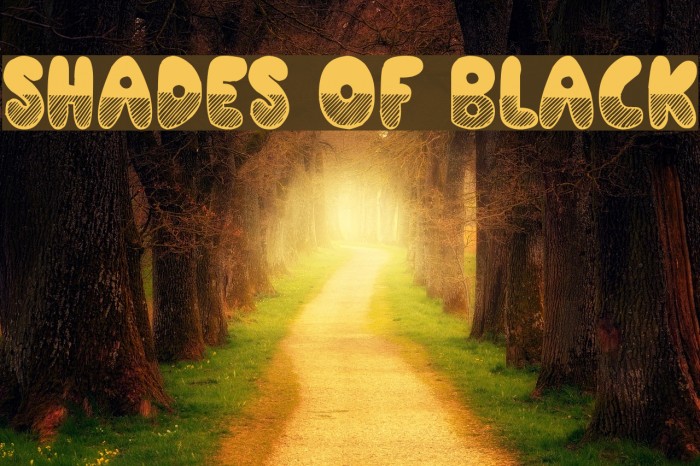 Shades of Black Font examples
