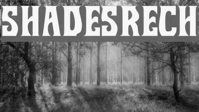 ShadesRech0 Font examples