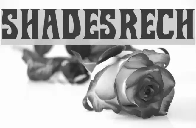 ShadesRech0 Font examples