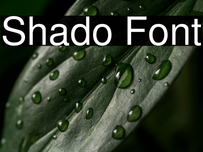 Shado Example 2
