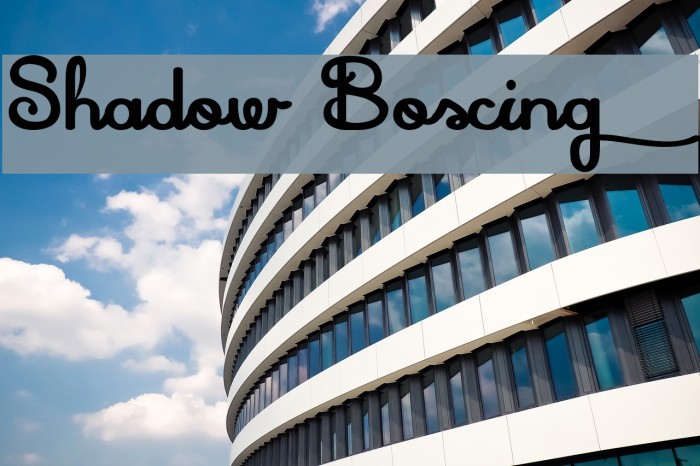 Shadow Boxing Font examples