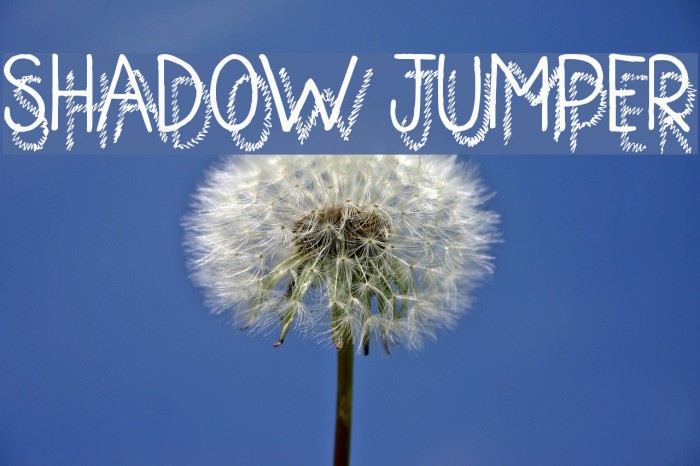 Shadow Jumper 字体 examples