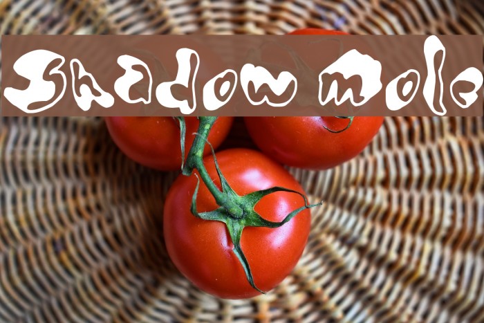 Shadow Mole Font examples