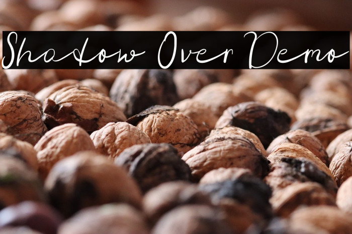 Shadow Over Demo Example 1