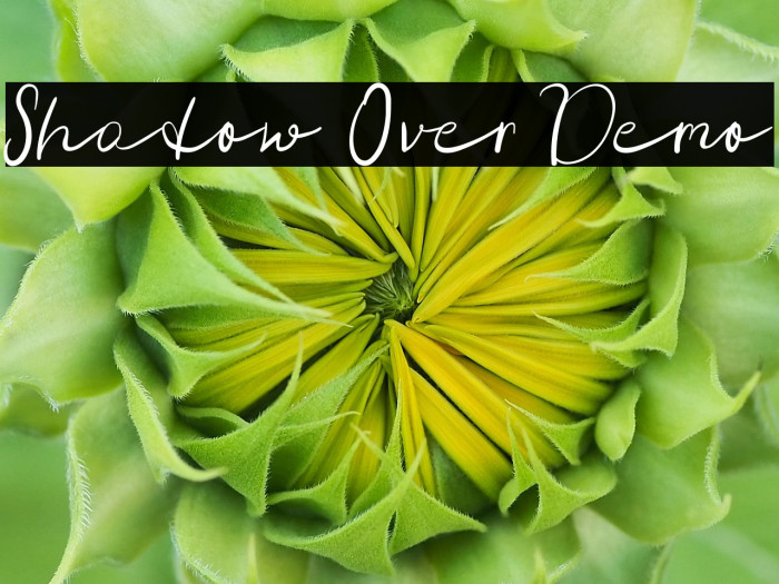 Shadow Over Demo Example 2