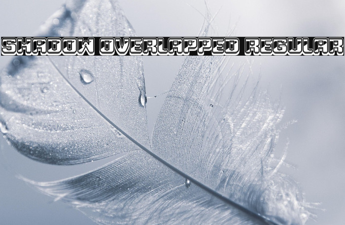 Shadow Overlapped Regular Example 1