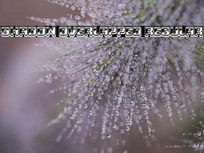 Shadow Overlapped Regular Example 3