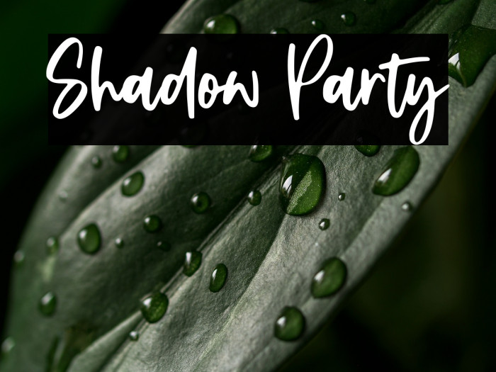Shadow Party Example 1