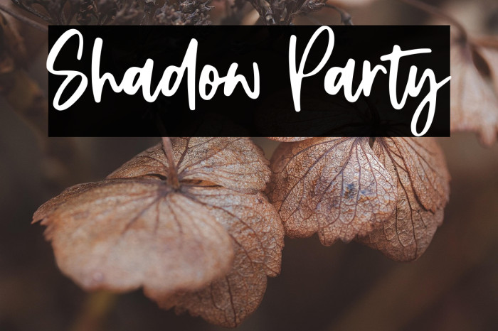 Shadow Party Example 2