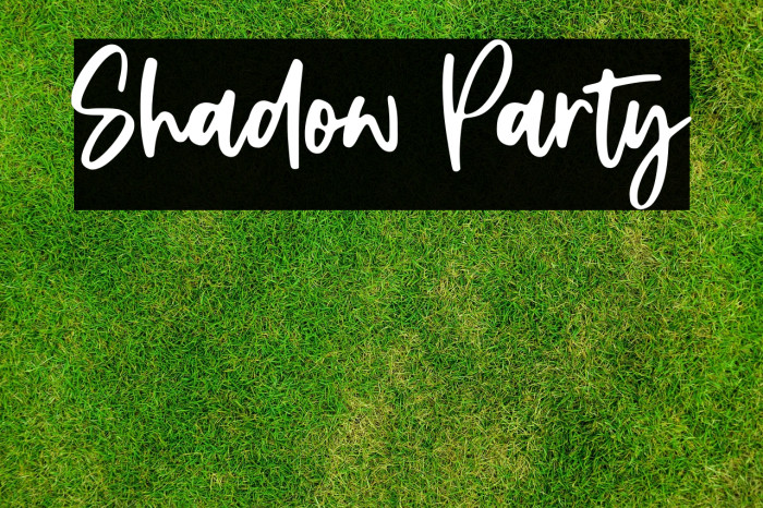 Shadow Party Example 3