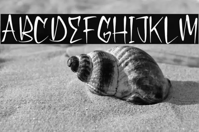 Shadow Pumpkin フォント examples