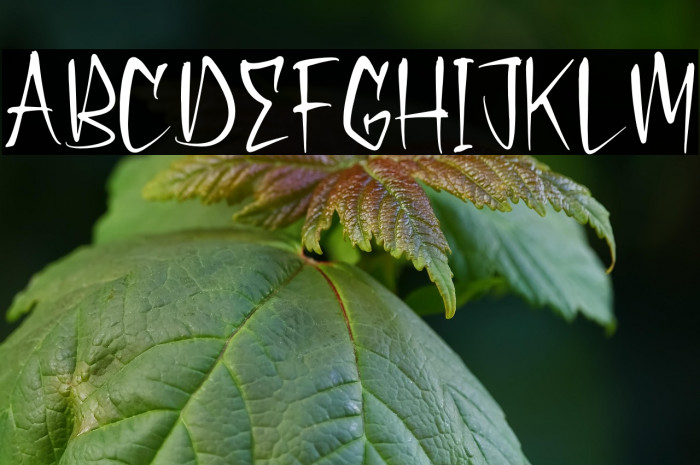 Shadow Pumpkin Example 3