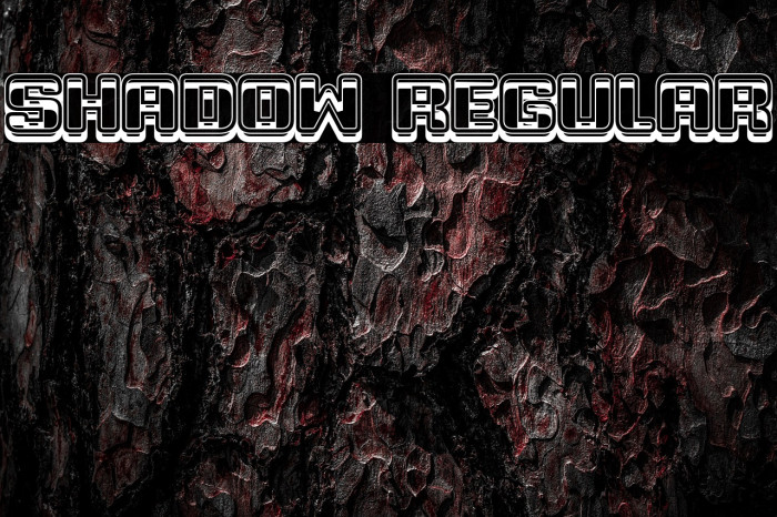 Shadow Regular Example 2