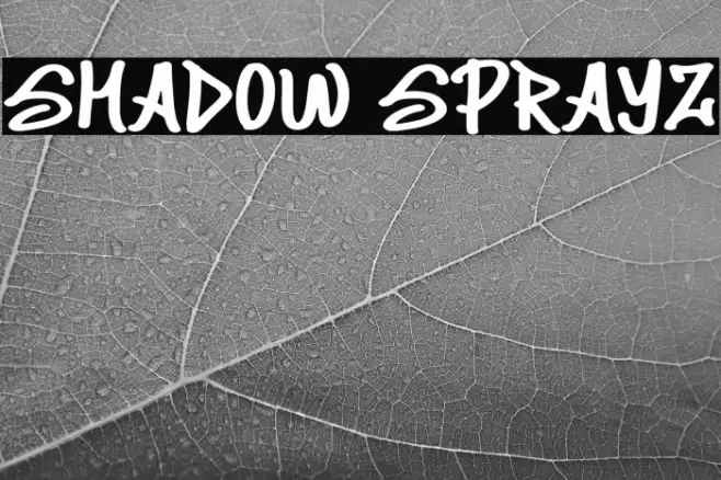 Shadow Sprayz Font examples