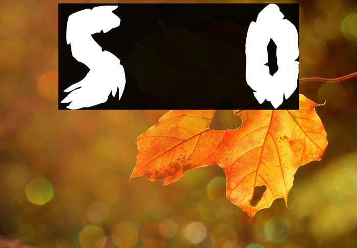 Shadow of the deads Over Example 3