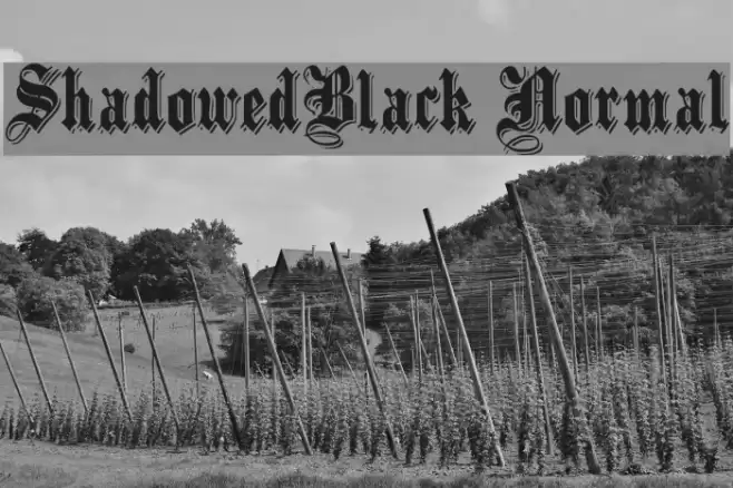 ShadowedBlack Normal Schriftart examples