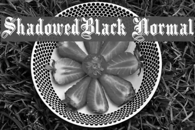 ShadowedBlack Normal Schriftart examples