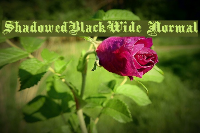 ShadowedBlackWide Normal Font examples
