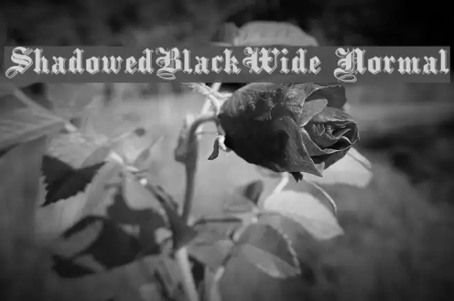 ShadowedBlackWide Normal フォント examples