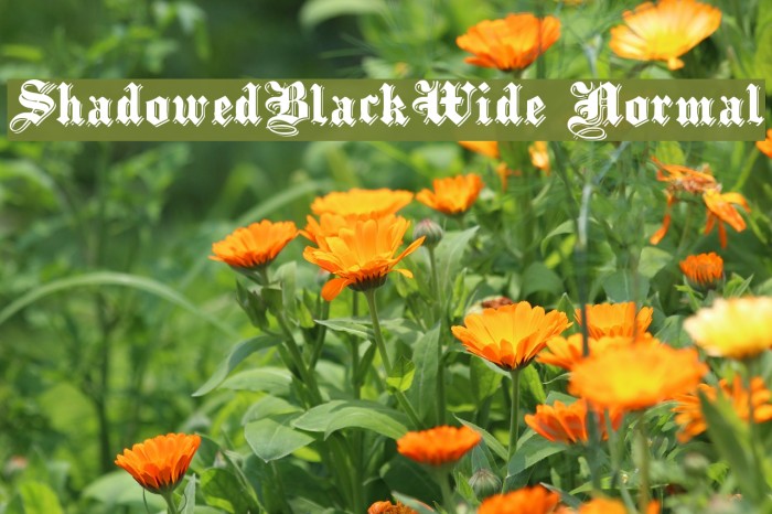 ShadowedBlackWide Normal Font examples