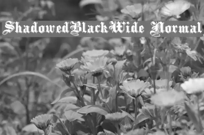 ShadowedBlackWide Normal フォント examples