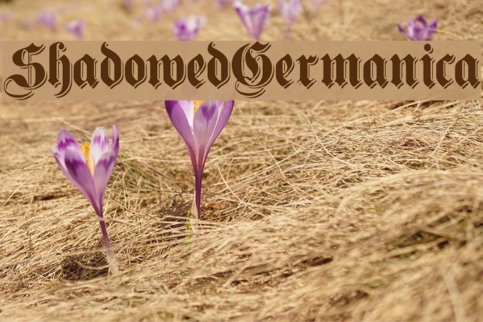 ShadowedGermanica Font examples