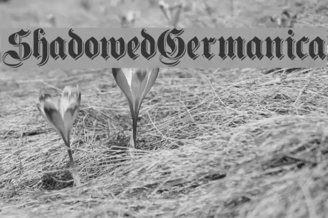 ShadowedGermanica Polices examples