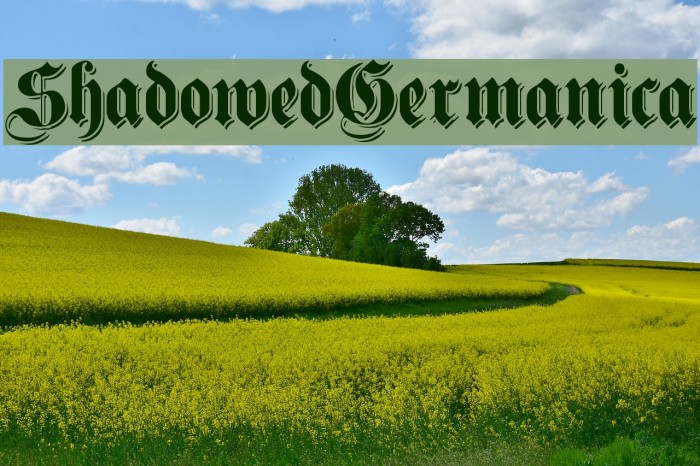 ShadowedGermanica Font examples
