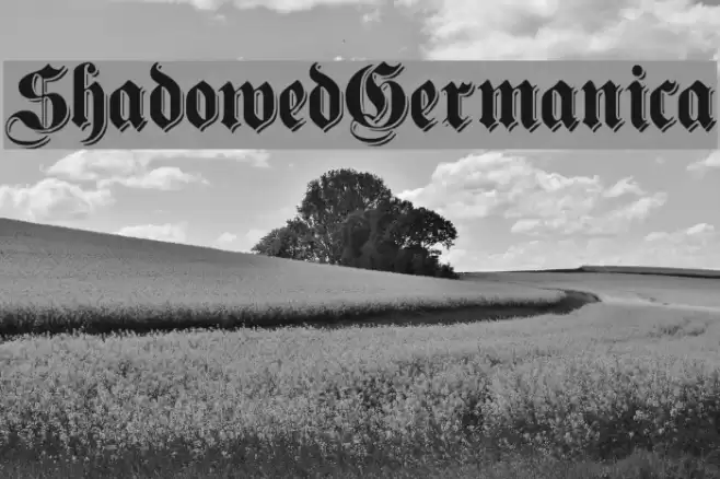 ShadowedGermanica Polices examples