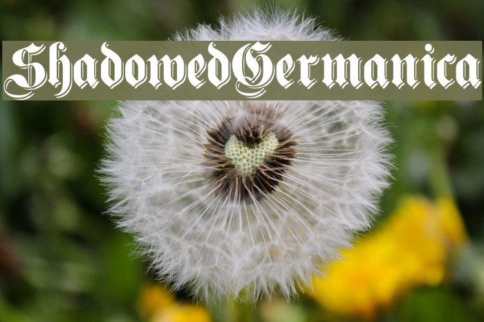 ShadowedGermanica Font examples