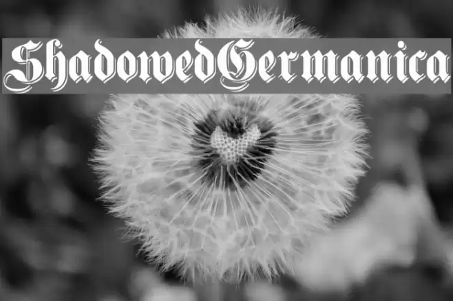 ShadowedGermanica Polices examples