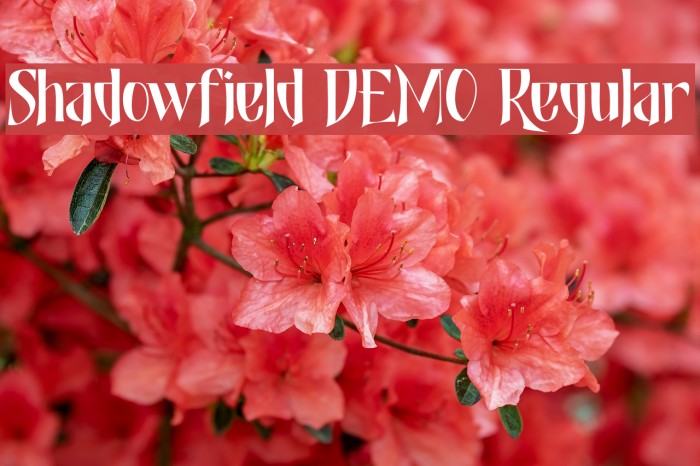 Shadowfield DEMO Regular Font examples