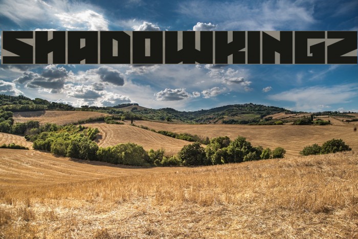 Shadowkingz Font examples