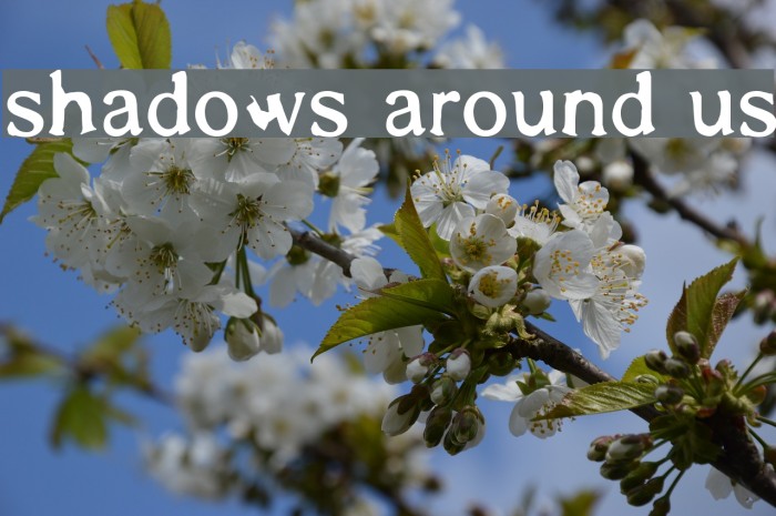 Shadows Around Us Font examples