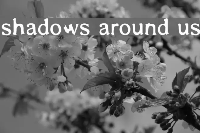 Shadows Around Us Schriftart examples